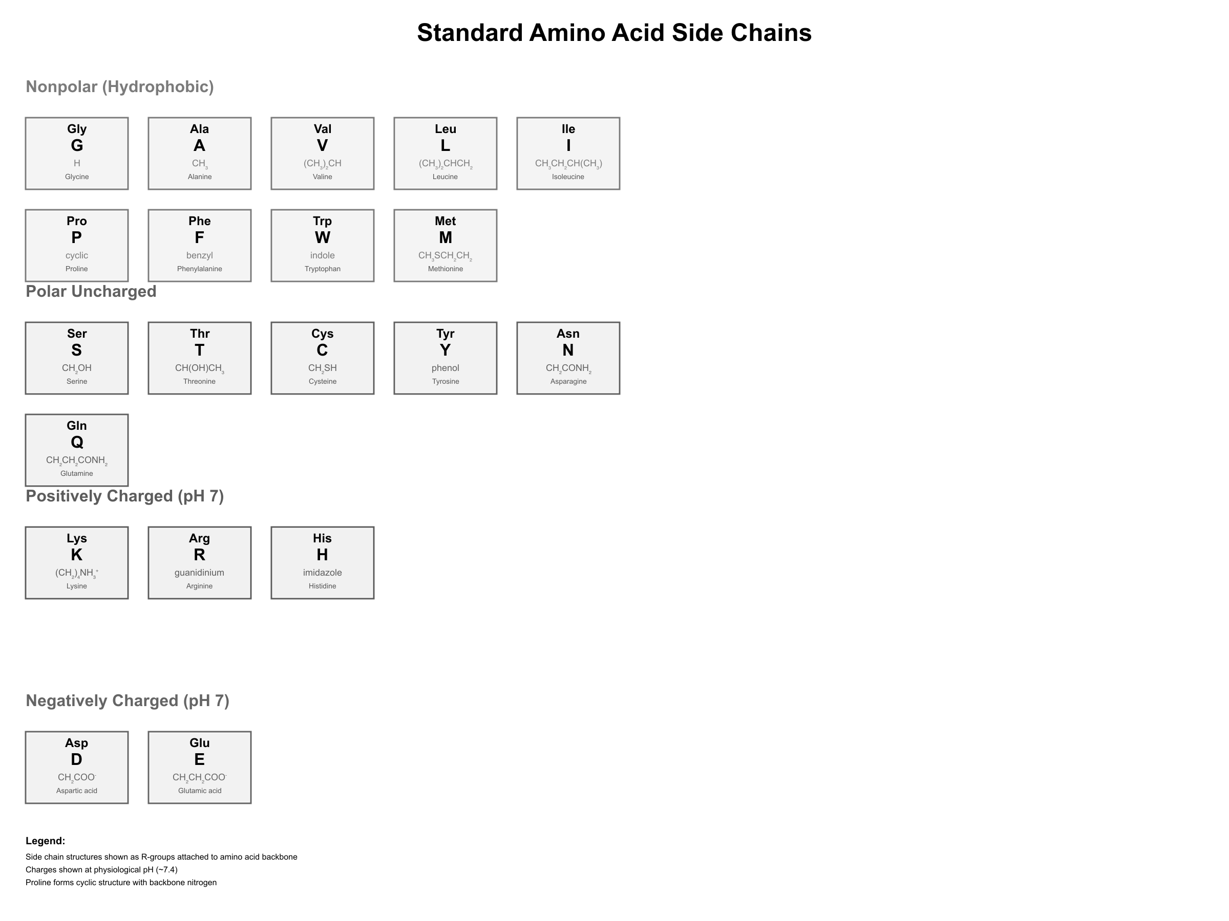 The 20 standard amino acids