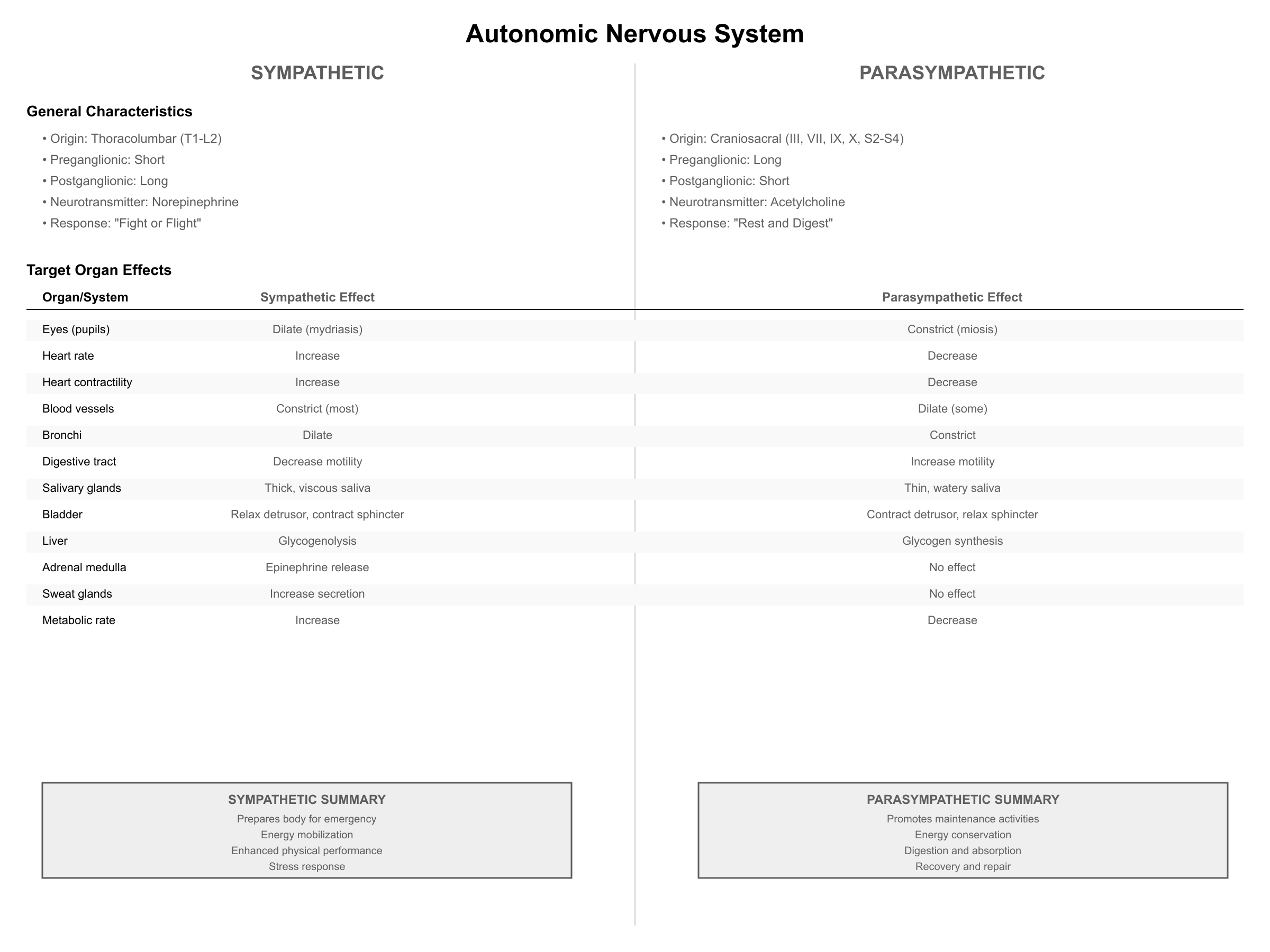 Autonomic nervous system comparison