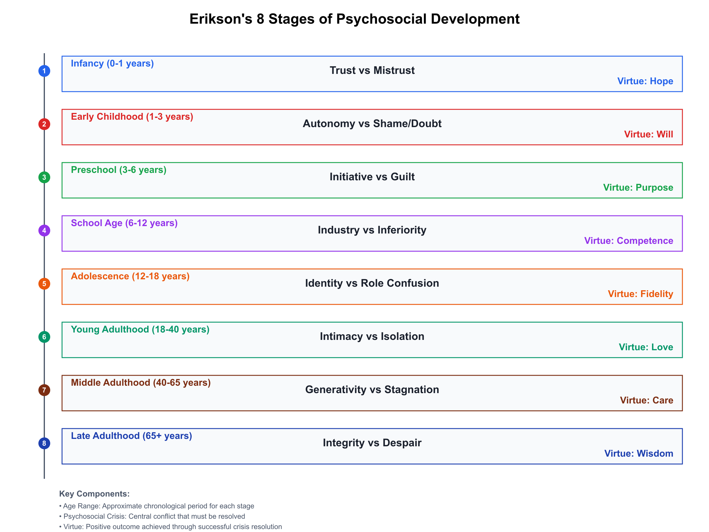 Erikson's psychosocial stages