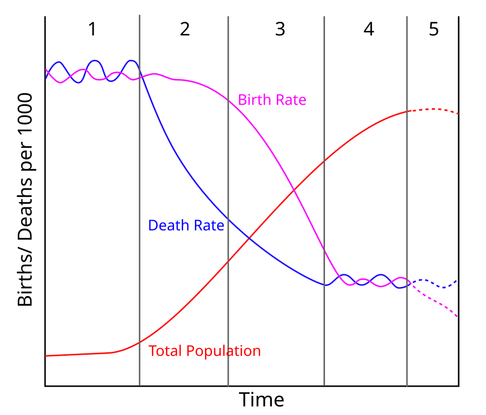 Demographic transition model