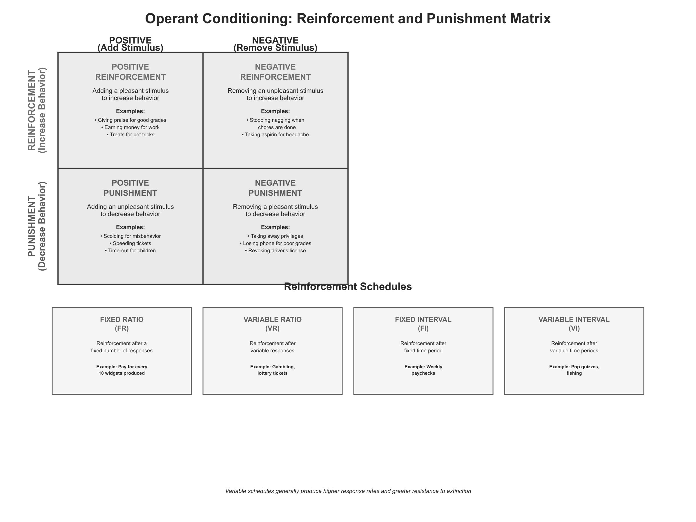 Operant conditioning (Skinner)