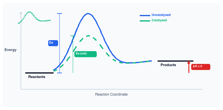 Le Chatelier's Principle and Kinetic vs Thermodynamic Products