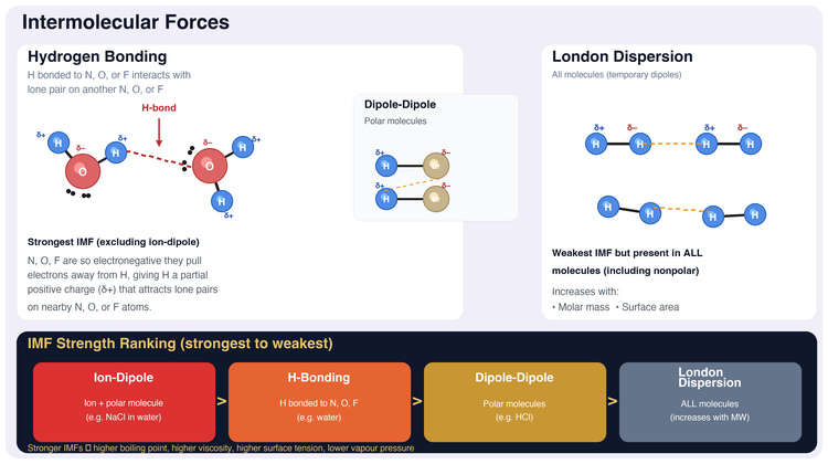 Intermolecular Forces — Hydrogen Bonding, Dipole-Dipole, London Dispersion