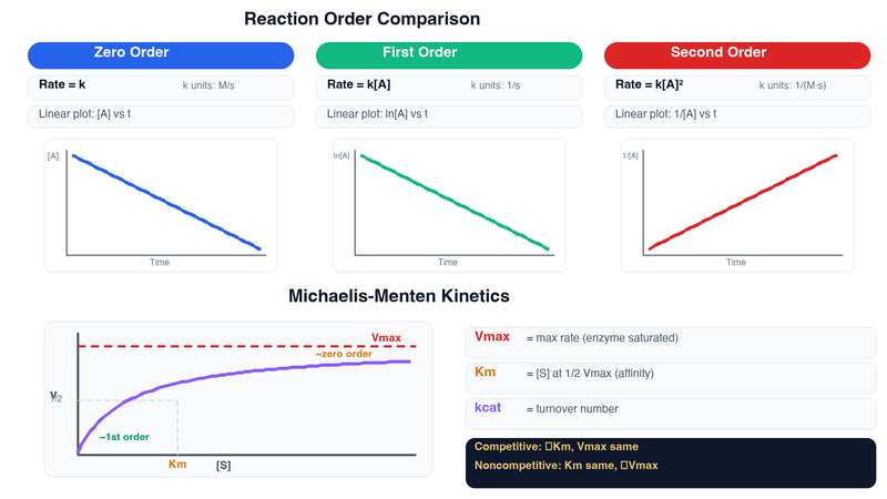 Kinetics — Rate Orders and Michaelis-Menten