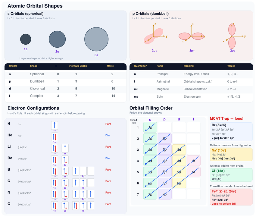 Atomic Orbital Shapes, Electron Configurations, and Diamagnetic vs Paramagnetic